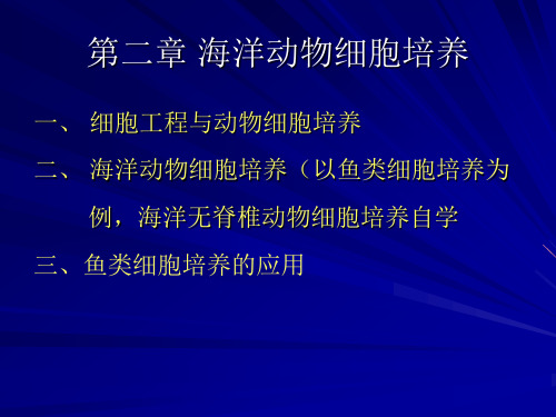 海洋生物技术—海洋动物细胞培养定稿