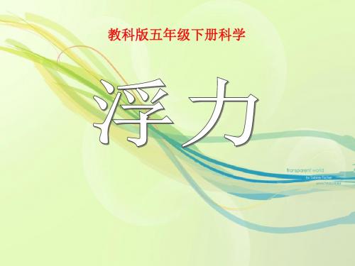 《浮力》沉和浮PPT课件 (共17张PPT)