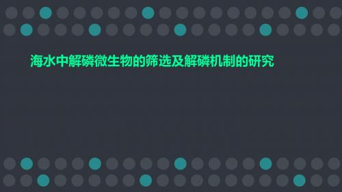 海水中解磷微生物的筛选及解磷机制的研究