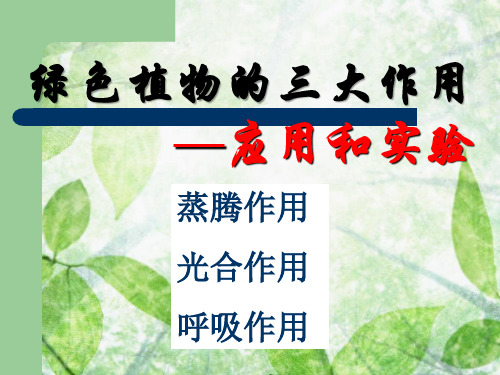 人教版初中生物复习课 绿色植物的三大作用—应用和实验 PPT精品课件