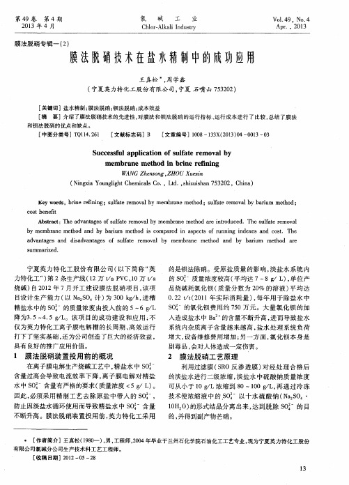 膜法脱硝技术在盐水精制中的成功应用
