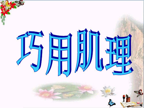 (精选)六年级美术上册巧用肌理 PPT精品课件4湘教版