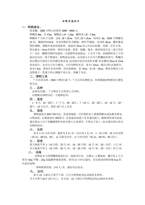 肉鸭养殖技术