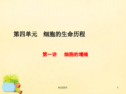 高三生物一轮复习 第四单元 细胞的生命历程 第一讲 细胞的增殖课件(必修1)