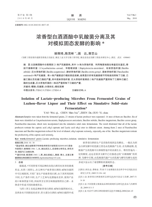浓香型白酒酒醅中乳酸菌分离及其对模拟固态发酵的影响