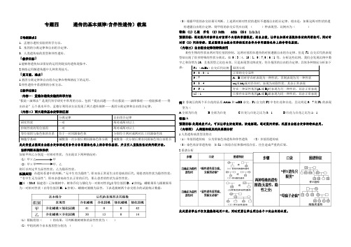 专题四    遗传的基本规律教案