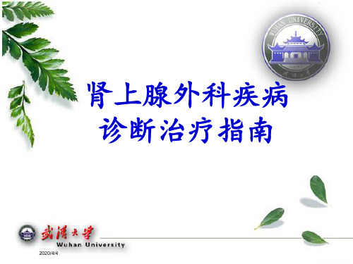 肾上腺外科疾病的诊断治疗指南