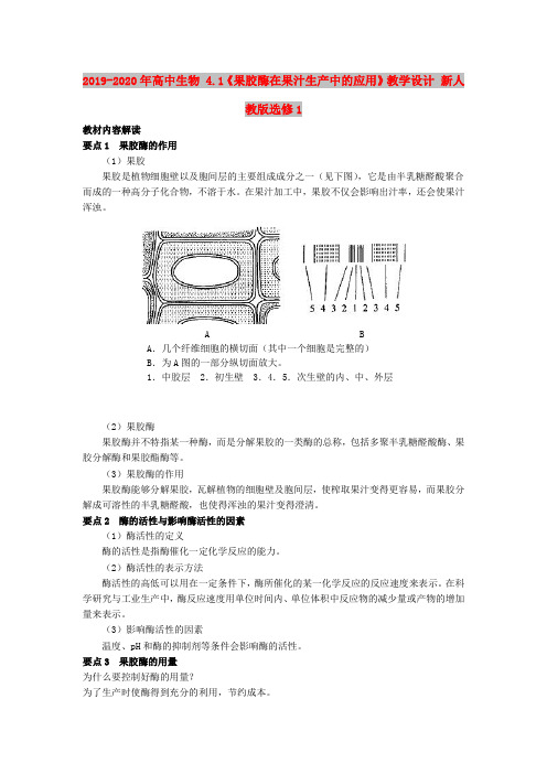 2019-2020年高中生物 4.1《果胶酶在果汁生产中的应用》教学设计 新人教版选修1