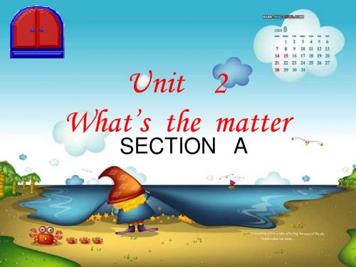 unit2_what_is_the_matter_SectionA