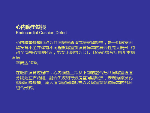 心脏超声课件：心内膜垫缺损