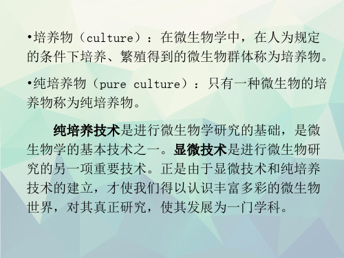 第二章微生物的纯培养和显微技术