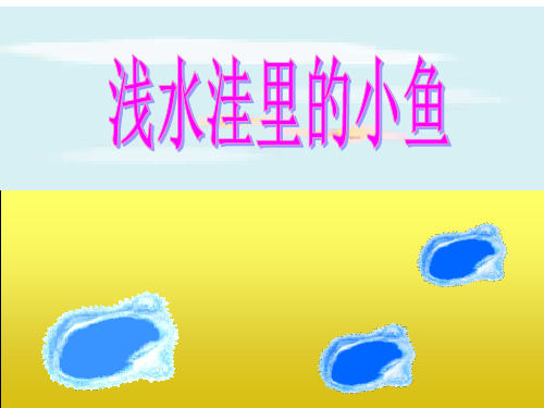 28《浅水洼里的小鱼》ppt课件6 精品获奖课件