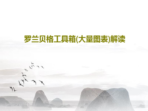罗兰贝格工具箱(大量图表)解读共77页