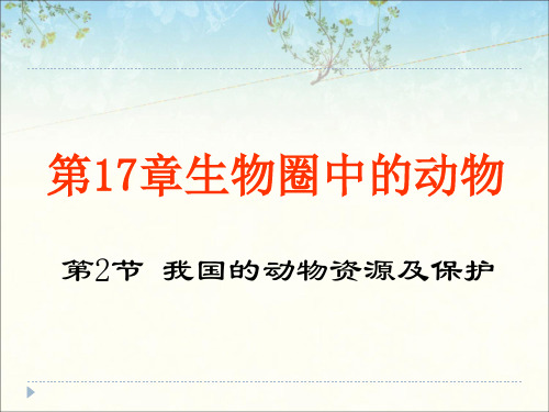 北师大版八年级生物上册第17章第2节我国的动物资源及保护课件(共35张PPT)