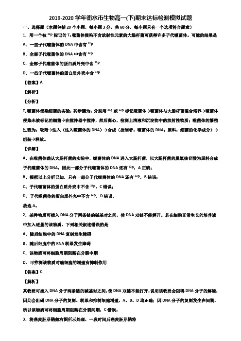 2019-2020学年衡水市生物高一(下)期末达标检测模拟试题含解析