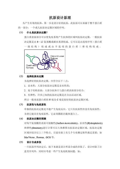 抗原决定簇