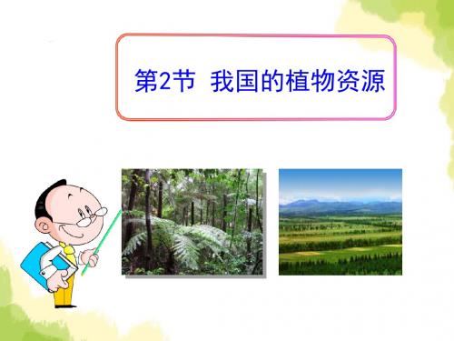 《我国的植物资源》精品教学PPT