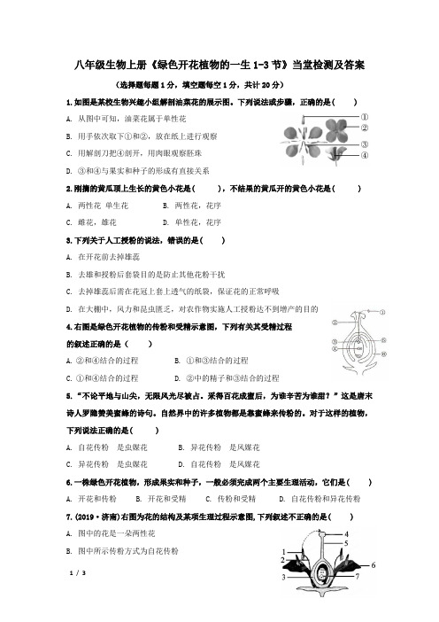 八年级生物上册《绿色开花植物的一生1-3节》当堂检测及答案