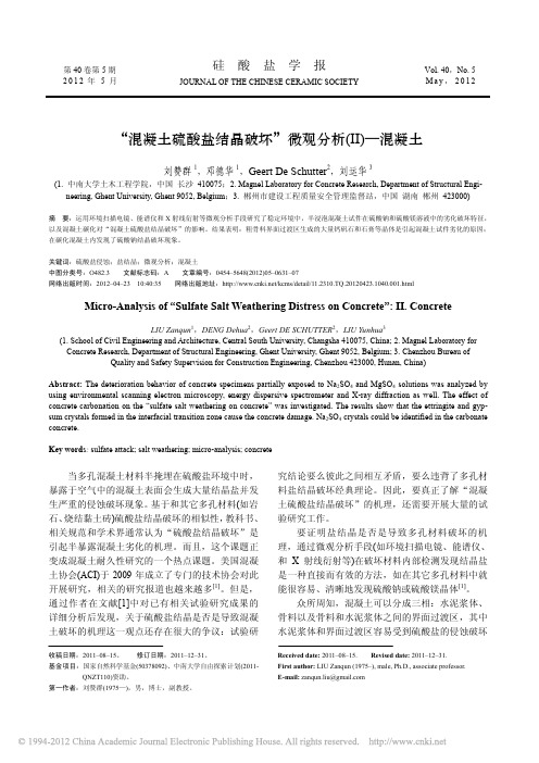 15_混凝土硫酸盐结晶破坏_微观分析_混凝土