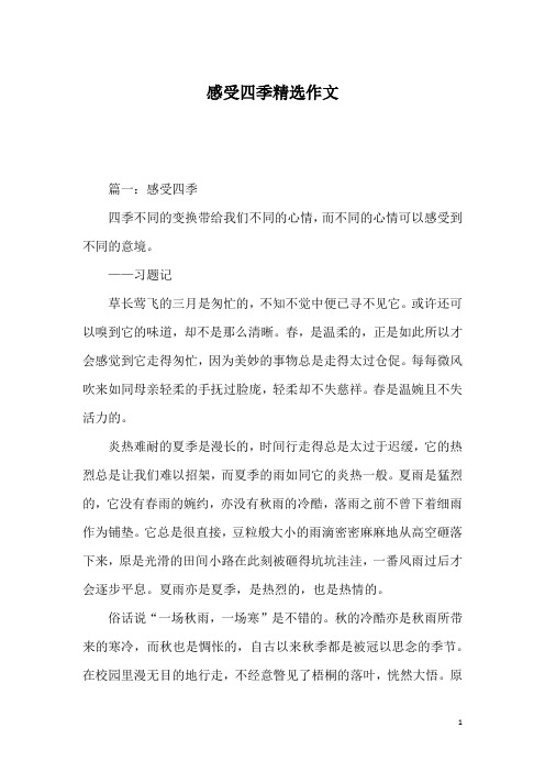 感受四季精选作文