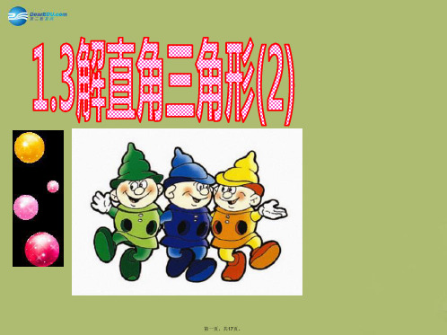 九年级数学下册 1.3 解直角三角形课件2 (新版)浙教版