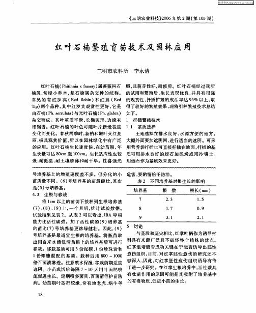 红叶石楠繁殖育苗技术及园林应用