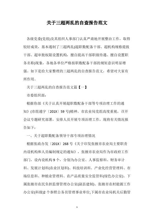 关于三超两乱的自查报告范文