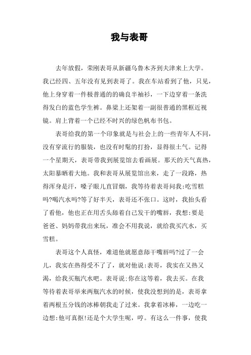 我与表哥——小学作文