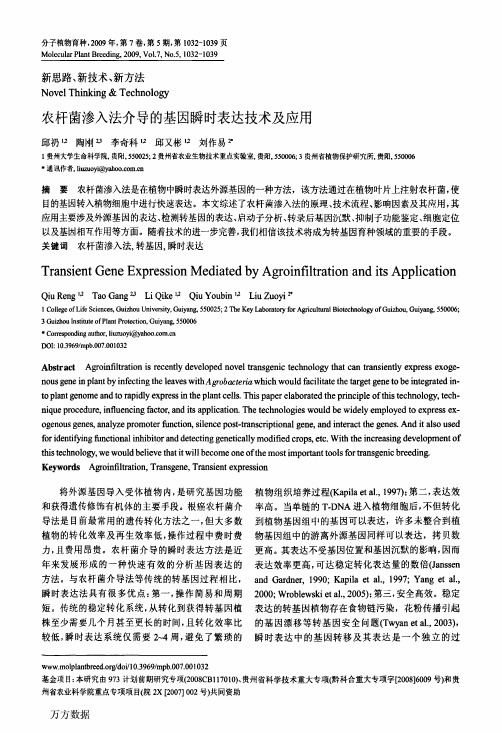 农杆菌渗入法介导的基因瞬时表达技术及应用