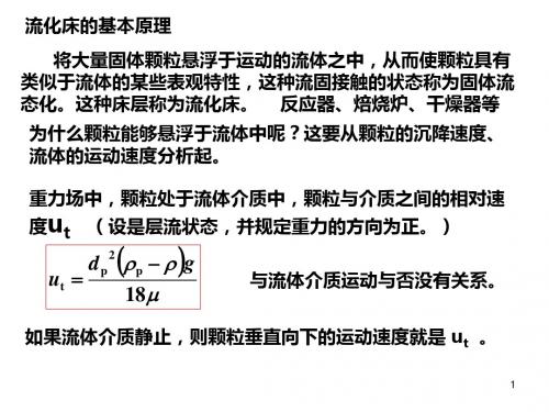 流化床的基本原理 PPT课件