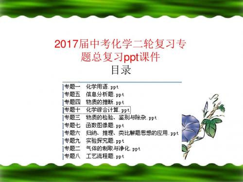 2017届中考化学二轮复习专题总复习ppt课件99页