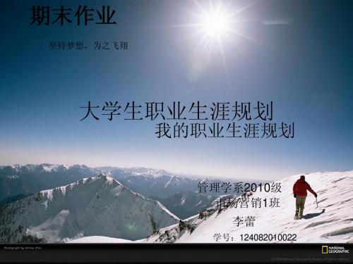 大学生职业生涯规划ppt