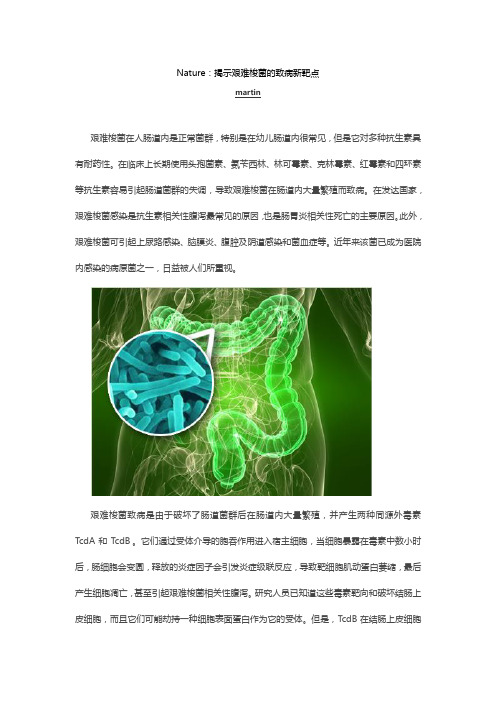 Nature：揭示艰难梭菌的致病新靶点