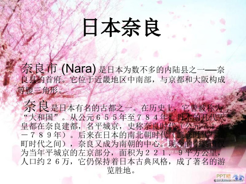 日本奈良街道特征