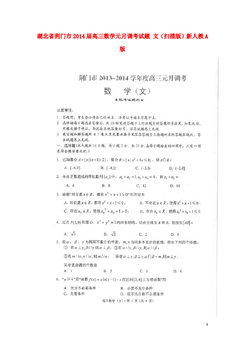 湖北省荆门市2014届高三数学元月调考试题 文