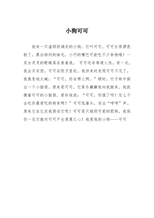 小学五年级作文：小狗可可
