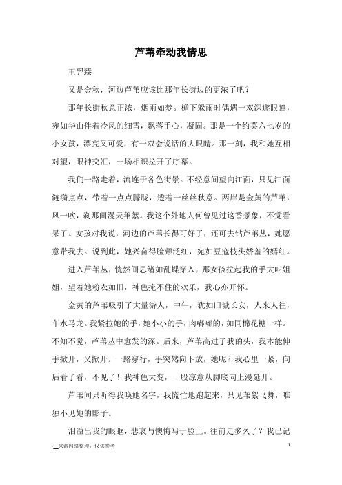 芦苇牵动我情思_优秀作文