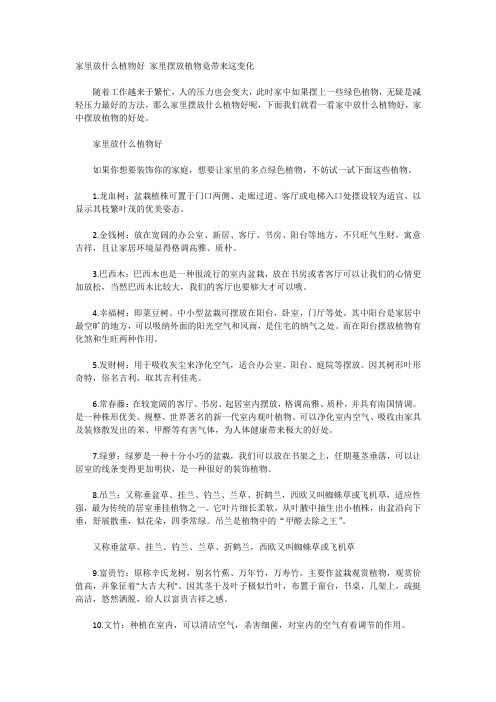 家里放什么植物好 家里摆放植物竟带来这变化
