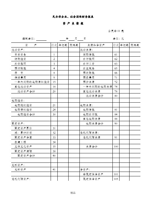 社会团体财务报表