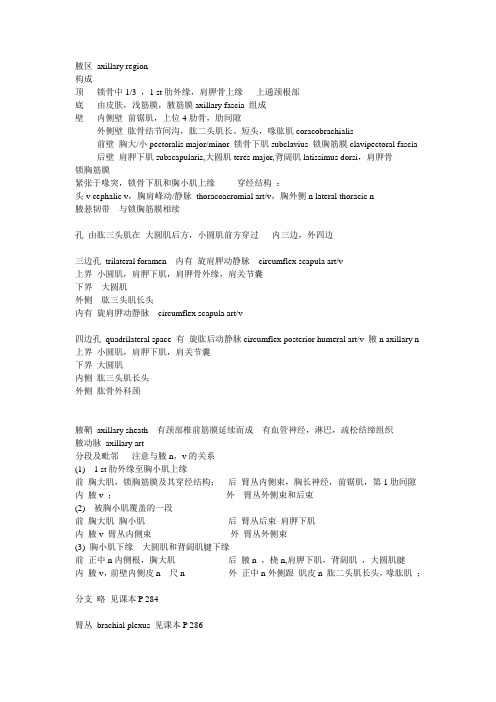 解剖整理--上肢