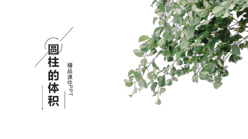 小学六年级下学期下册数学课件 -探索圆柱的体积公式  冀教版 (共12张PPT)