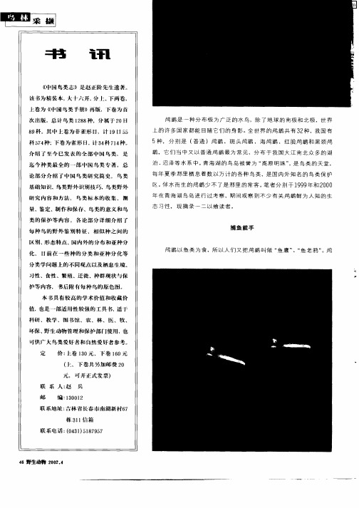 青海湖话鸬鹚