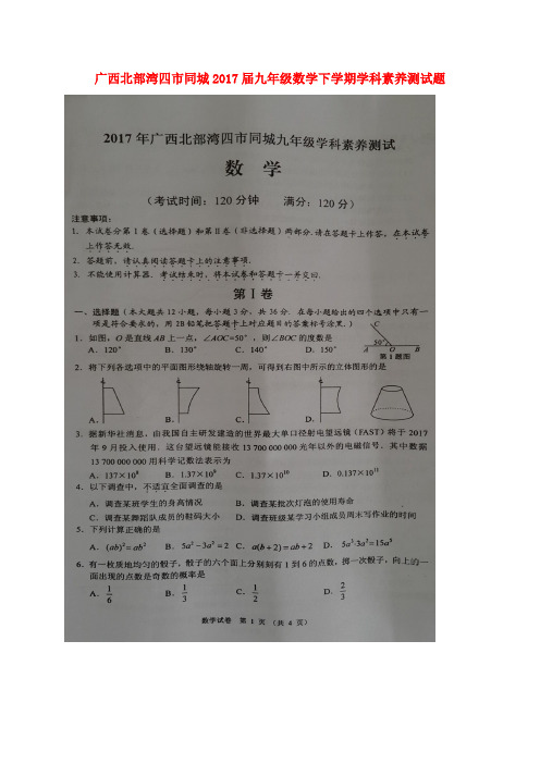 广西北部湾四市同城2017届九年级数学下学期学科素养测试题 精