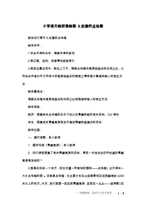 小学语文教研课教案 9.烂漫的点地梅
