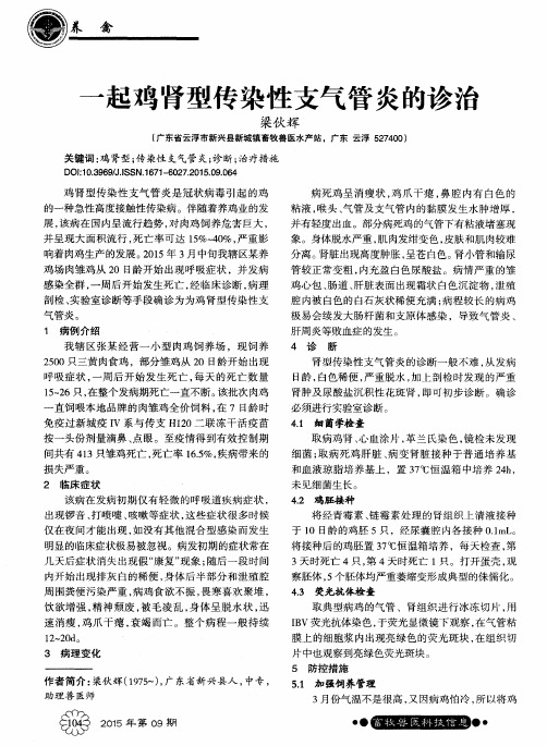 一起鸡肾型传染性支气管炎的诊治