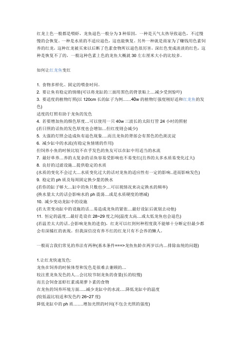 红龙饲养方法