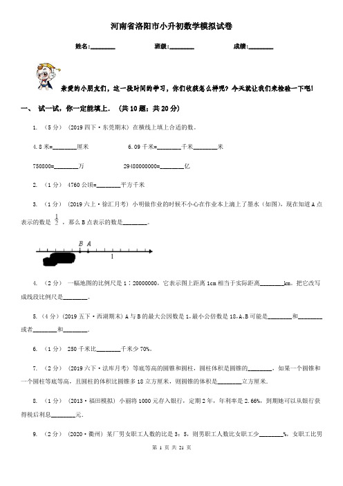 河南省洛阳市小升初数学模拟试卷