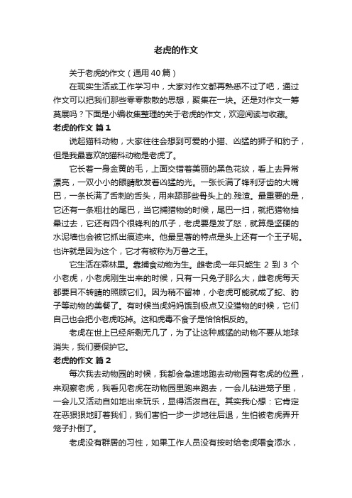 老虎的作文