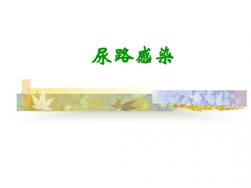 尿路感染