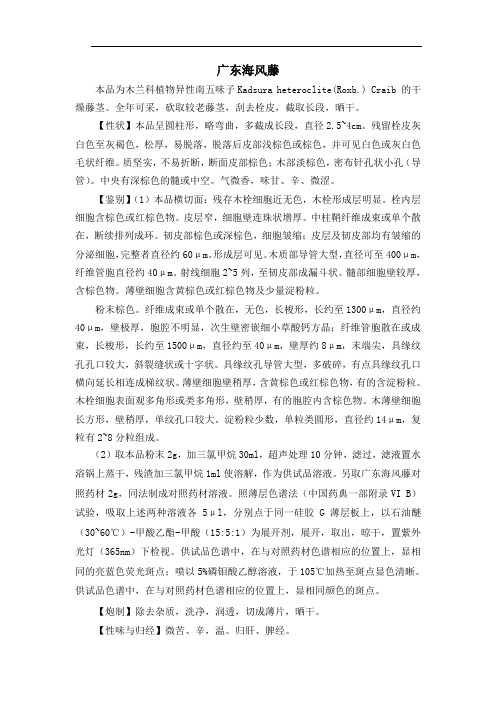 广东海风藤